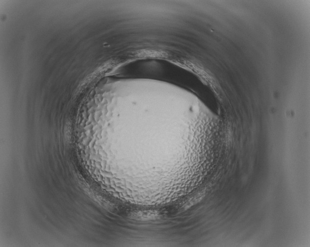 X0000083010353200702161557