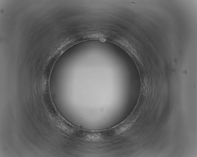 X0000083010355200702161557