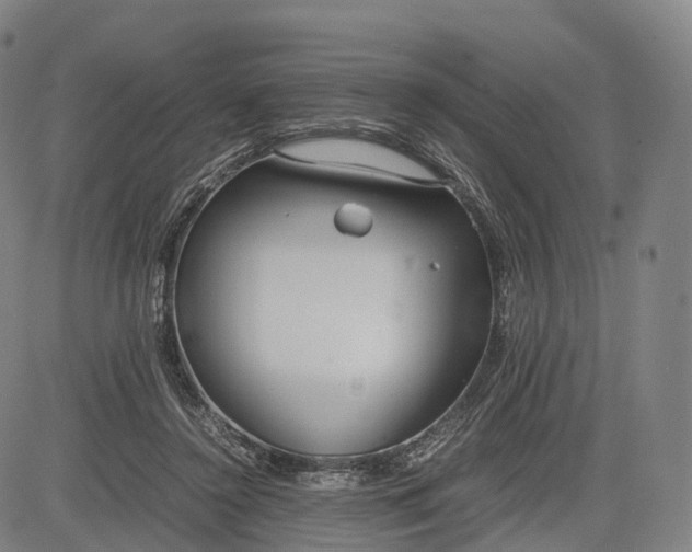 X0000083010356200702161557