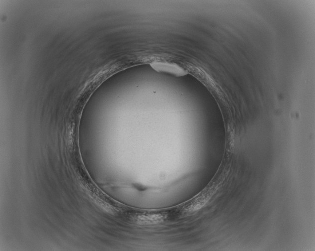 X0000083010357200702161557