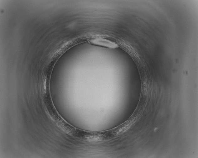 X0000083010358200702161557