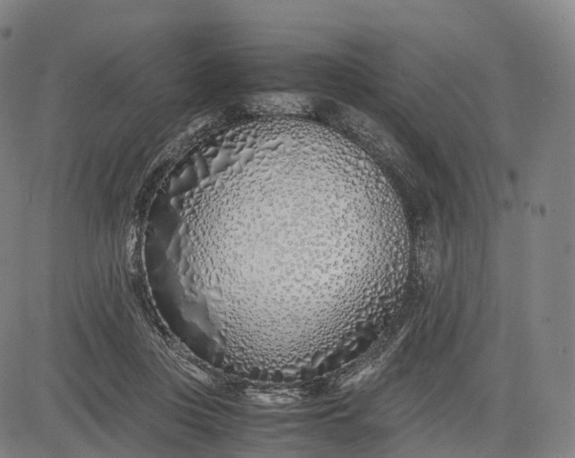 X0000083010359200702161557