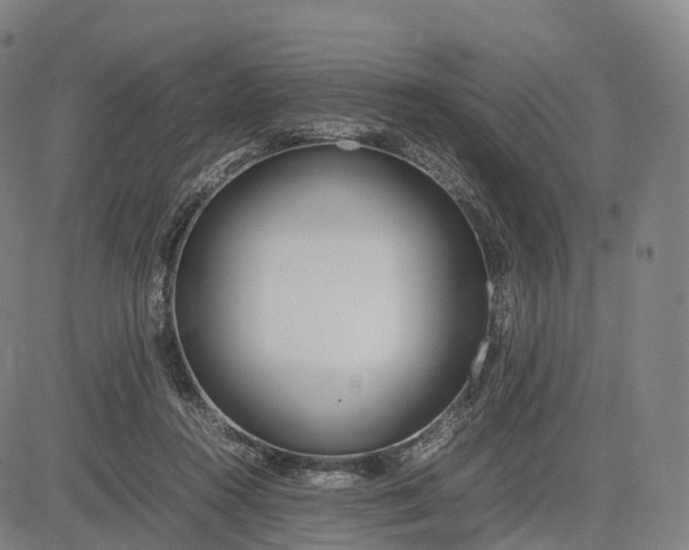 X0000083010360200702161557