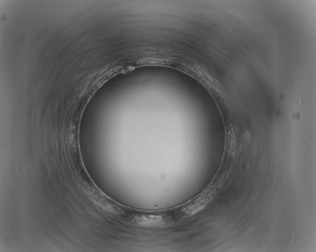 X0000083010361200702161557