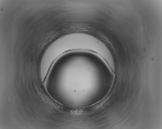 X0000083010362200702161557