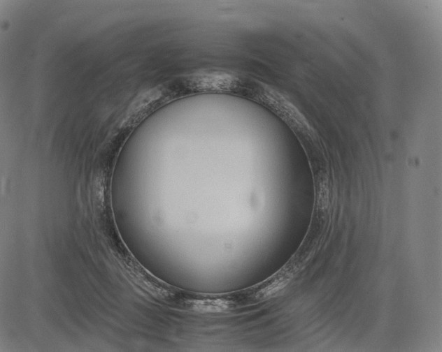 X0000083010363200702161557