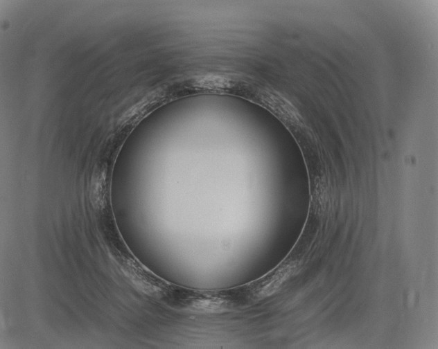 X0000083010364200702161557