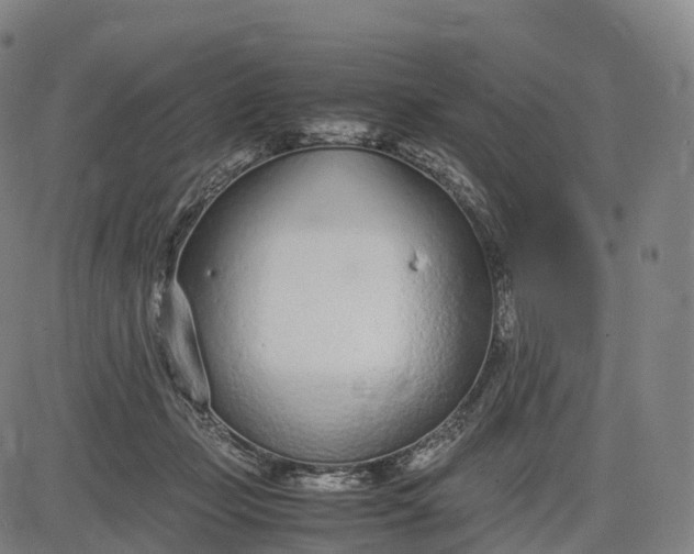 X0000083010365200702161557