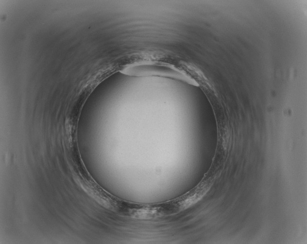 X0000083010366200702161557