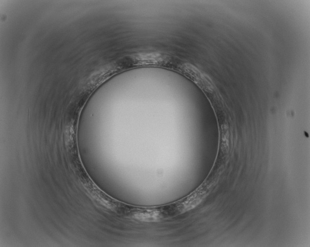 X0000083010369200702161557