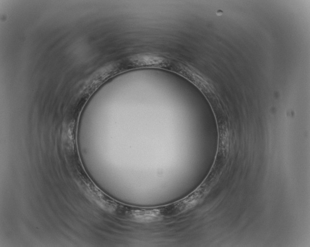 X0000083010373200702161557