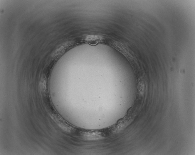 X0000083010375200702161557