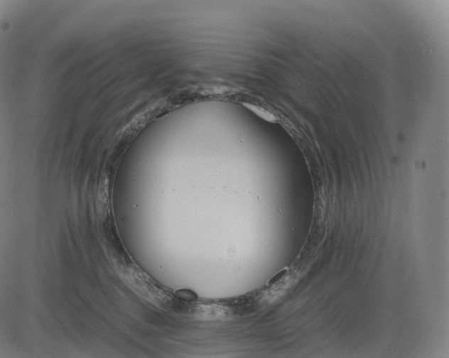 X0000083010376200702161557