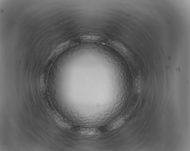 X0000083010377200702161557