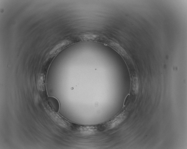 X0000083010378200702161557