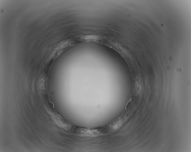 X0000083010379200702161557