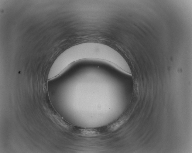 X0000083010380200702161557