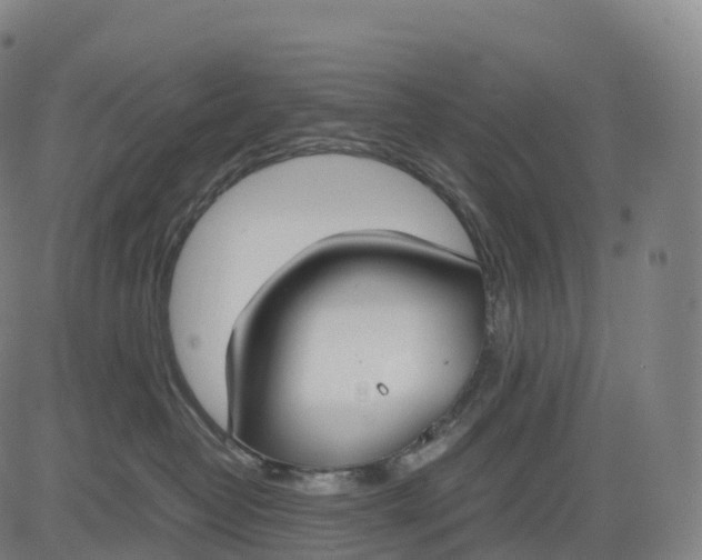 X0000083010382200702161557