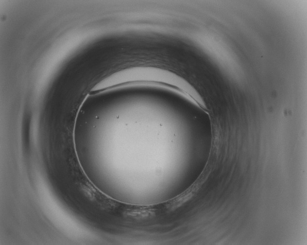 X0000083010383200702161557