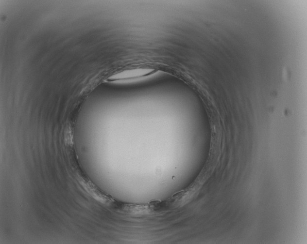 X0000083010384200702161557