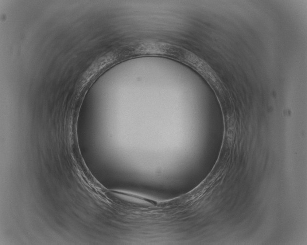 X0000083010386200702161556