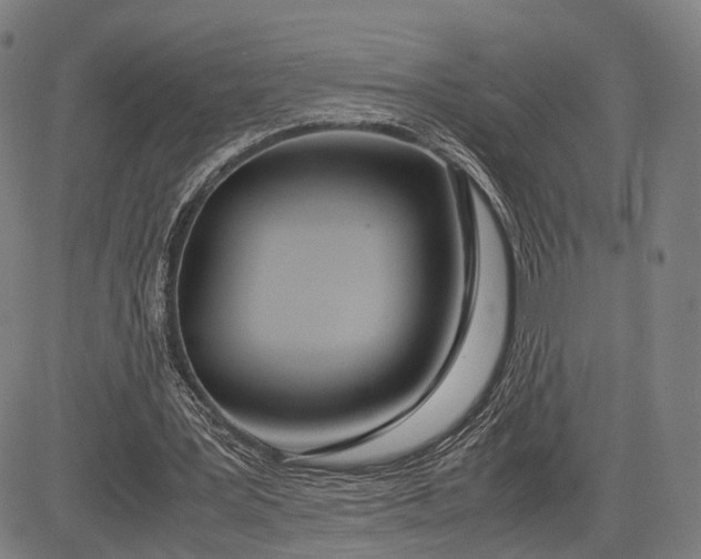 X0000083010387200702161556