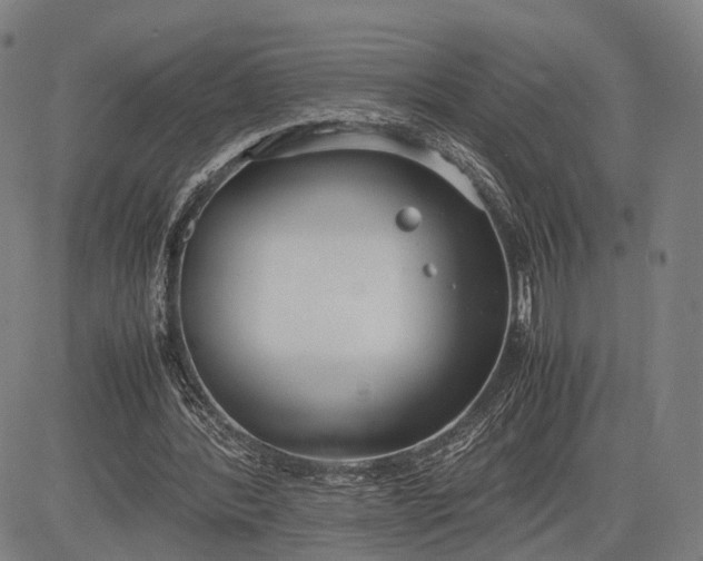 X0000083010388200702161556