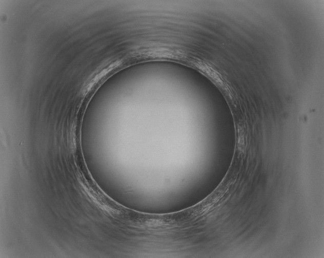 X0000083010390200702161556