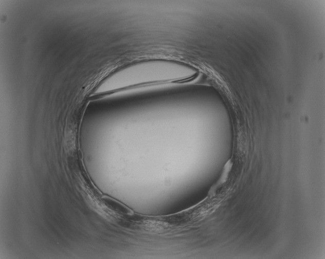 X0000083010393200702161556