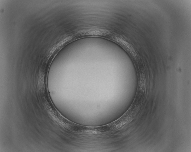 X0000083010394200702161556