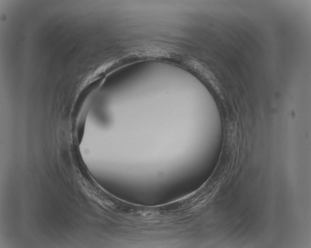 X0000083010395200702161556