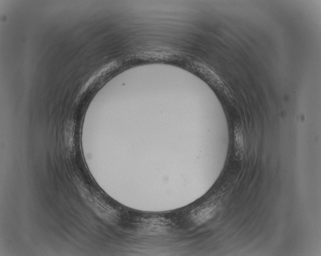 X0000083010396200702161556