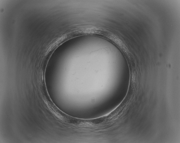 X0000083010397200702161556