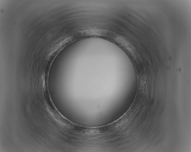 X0000083010398200702161556