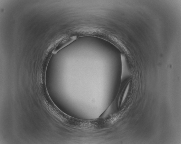 X0000083010399200702161556