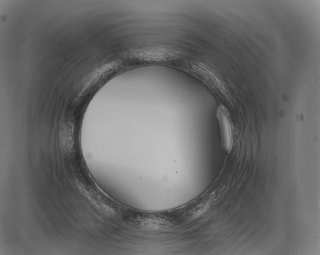 X0000083010400200702161556