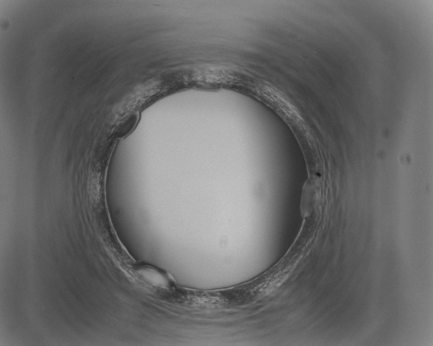 X0000083010401200702161556