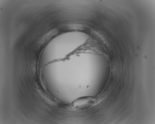 X0000083010402200702161556