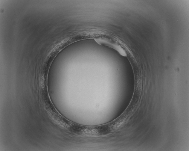 X0000083010403200702161556