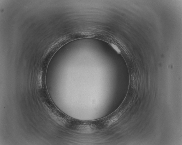 X0000083010404200702161556