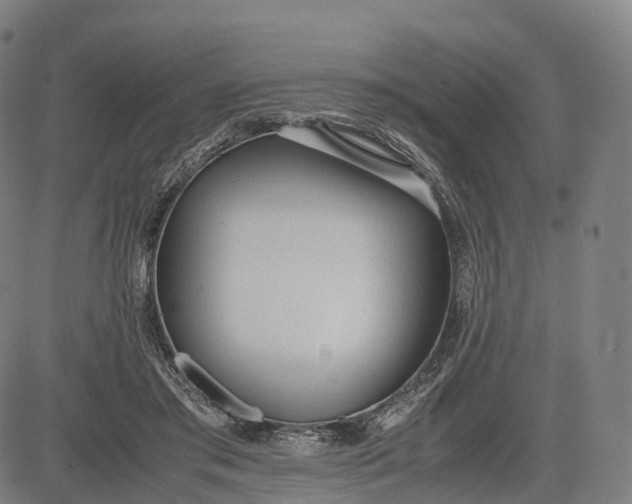 X0000083010405200702161556