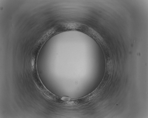 X0000083010406200702161556