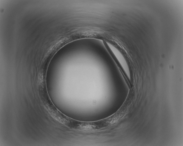 X0000083010407200702161556