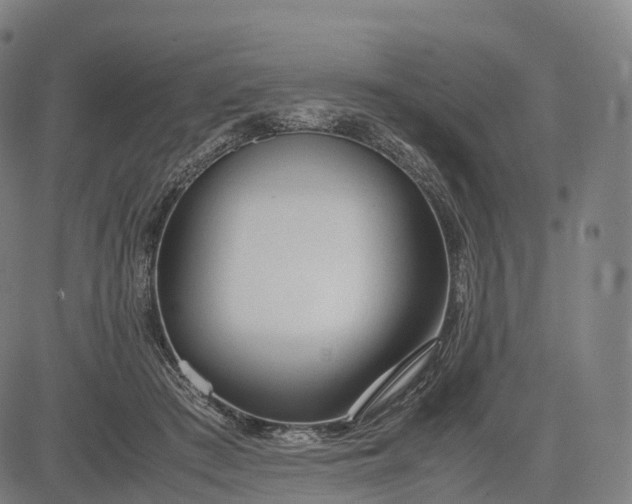 X0000083010409200702161556