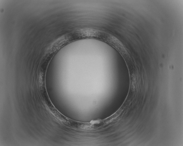 X0000083010410200702161556