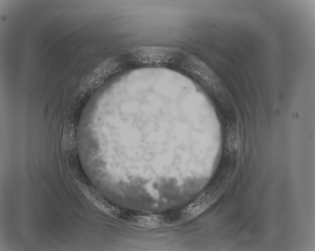 X0000083010411200702161556