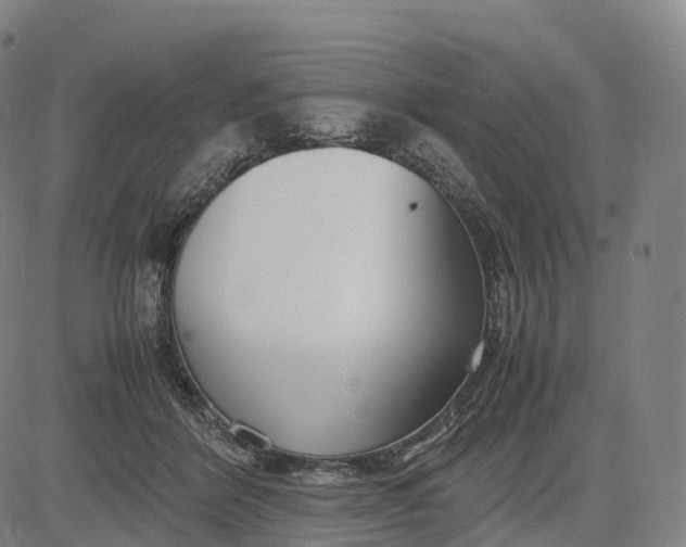 X0000083010412200702161556