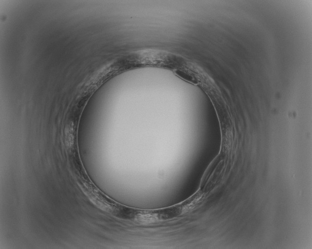 X0000083010413200702161556