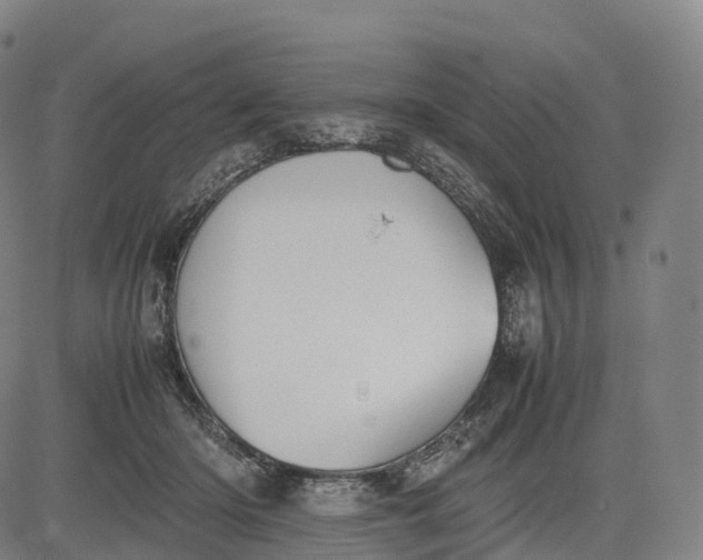 X0000083010414200702161556