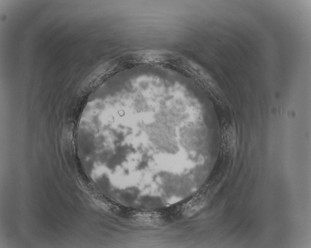 X0000083010415200702161556